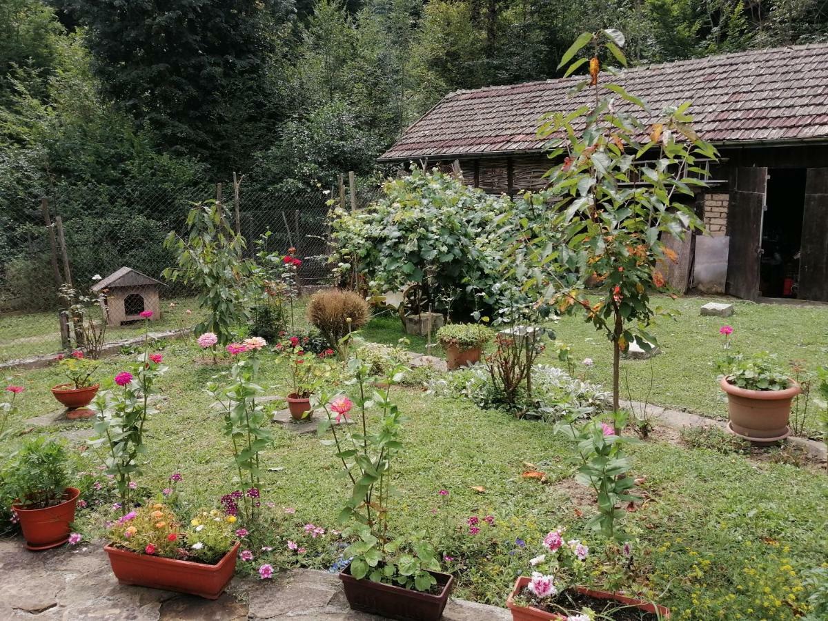 Къща Цвети-1 Трявна Hotel Bangeytsi Bagian luar foto